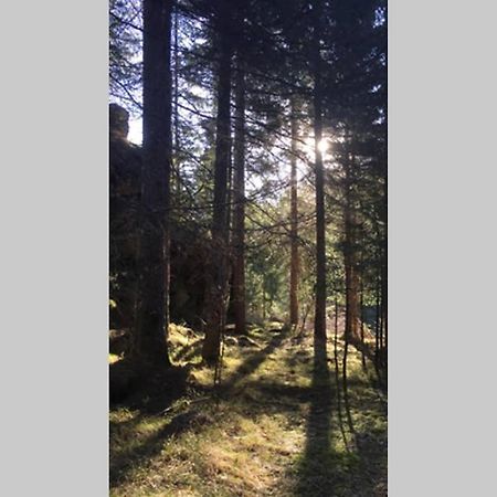 Gemuetliches Ferienhaus Am Waldrand Tropolach Luaran gambar