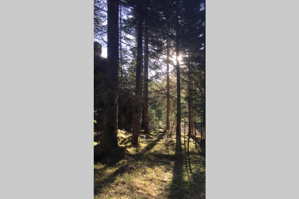 Gemuetliches Ferienhaus Am Waldrand Tropolach Luaran gambar